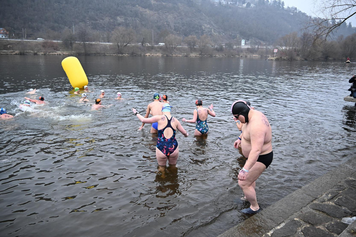 Při 23. ročníku Branických ledů se do vln 1,6 °C studené Vtavy ponořilo 223 otužilců Při 23. ročníku Branických ledů se do vln 1,6 °C studené Vtavy ponořilo 223 otužilců
